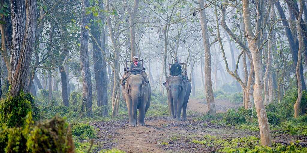 Jungle Safari in Chitwan National Park