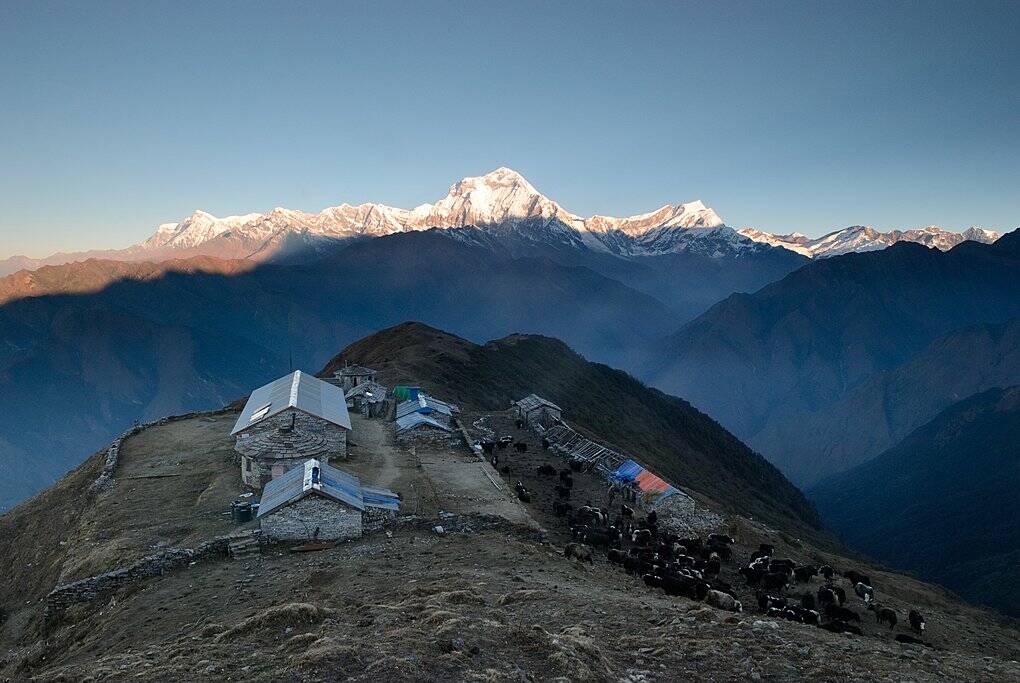 Khopra (Danda) Trek