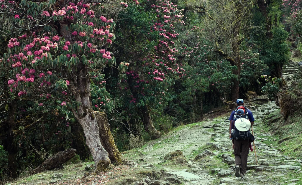 Chisapani Nagarkot Hiking3