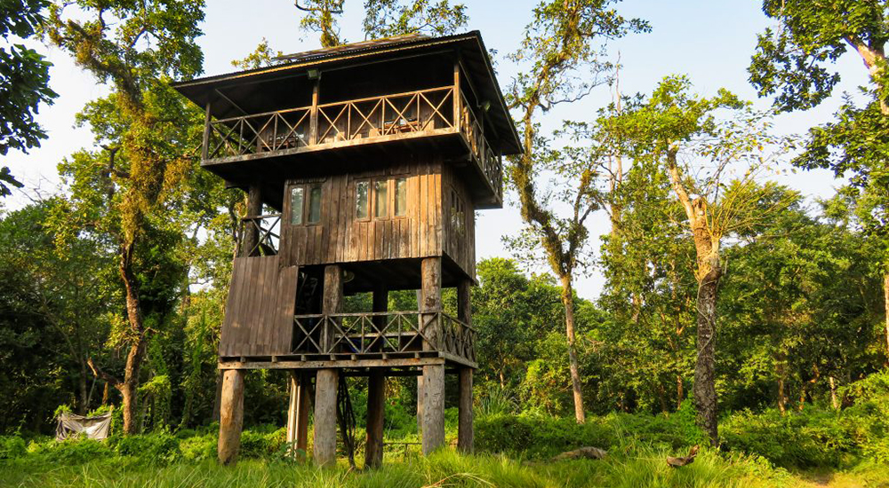 Jungle Safari in Chitwan National Park3