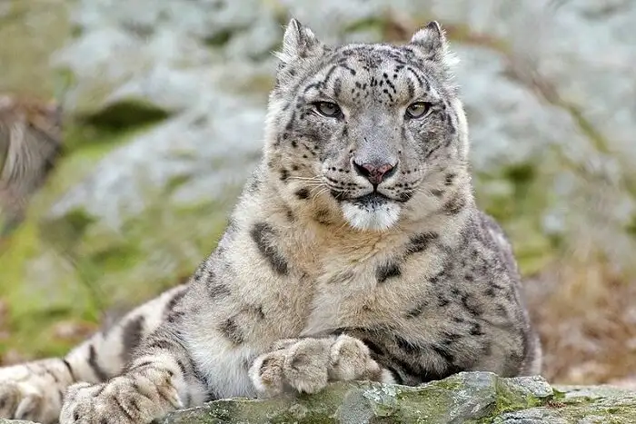 Makalu Barun National Park1