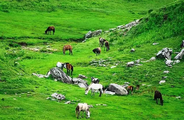 Khaptad National Park