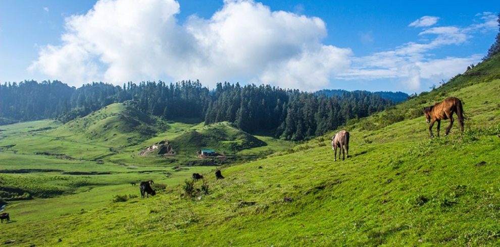 Khaptad National Park3