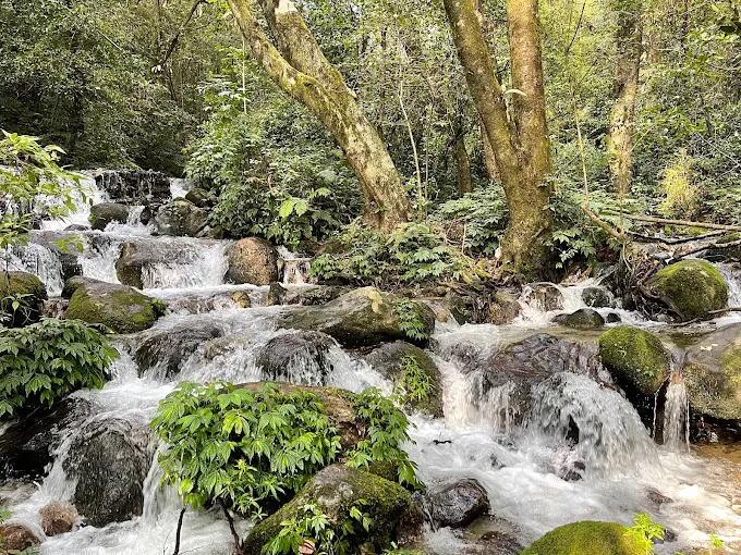 Shivapuri Nagarjun National Park2