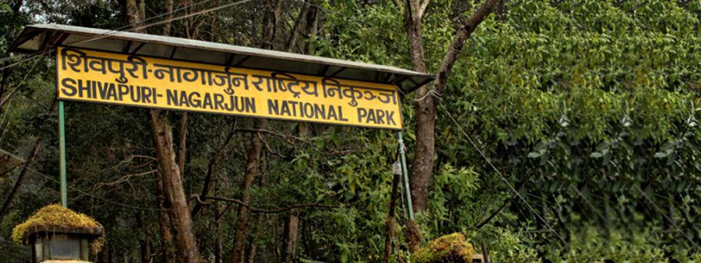 Shivapuri Nagarjun National Park5